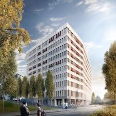 INSEL ORGAN-UND TUMORZENTRUM